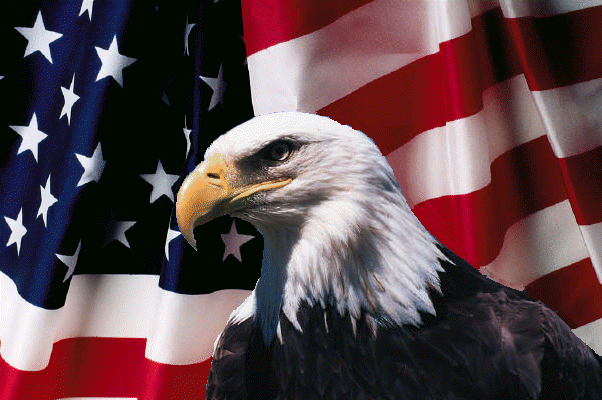 flag.gif